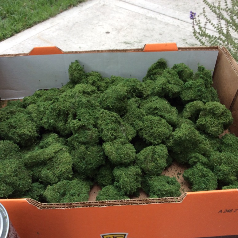 box of trees